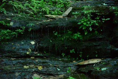 DSC_2797 (Large).JPG